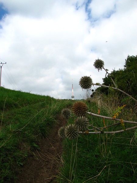 ČESKÉ STŘEDOHOŘÍ - BUKOVÁ 683 M